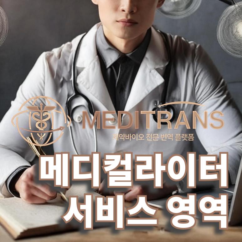 메디트랜스의 메디컬 라이터가 제공하는 서비스 영역