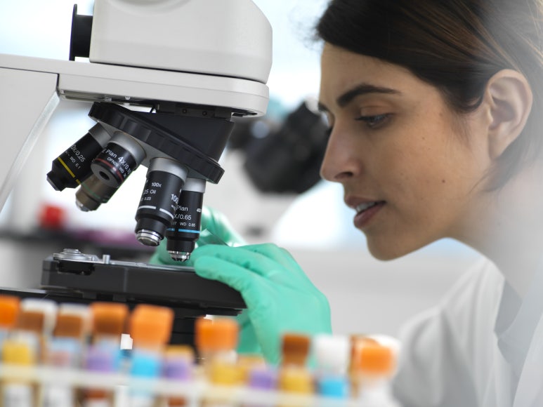 img 1760927410 68f59eb24d823