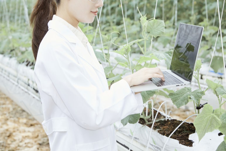 img 1760931219 68f5ad93299d4