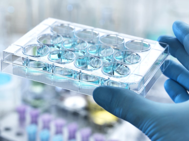 바이오·헬스케어 기업이 번역에서 흔히 겪는 5가지 문제