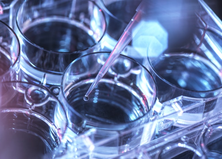 img 1760937069 68f5c46d7cfe2