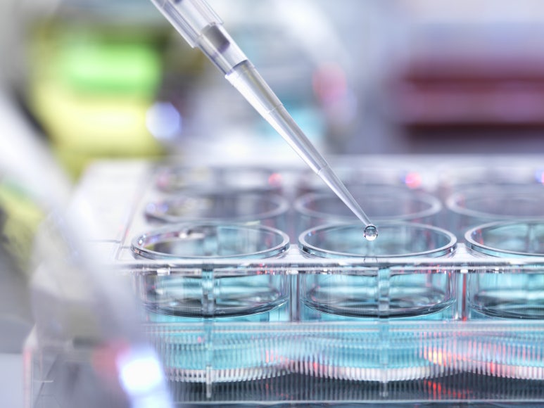 img 1760937086 68f5c47e474e8