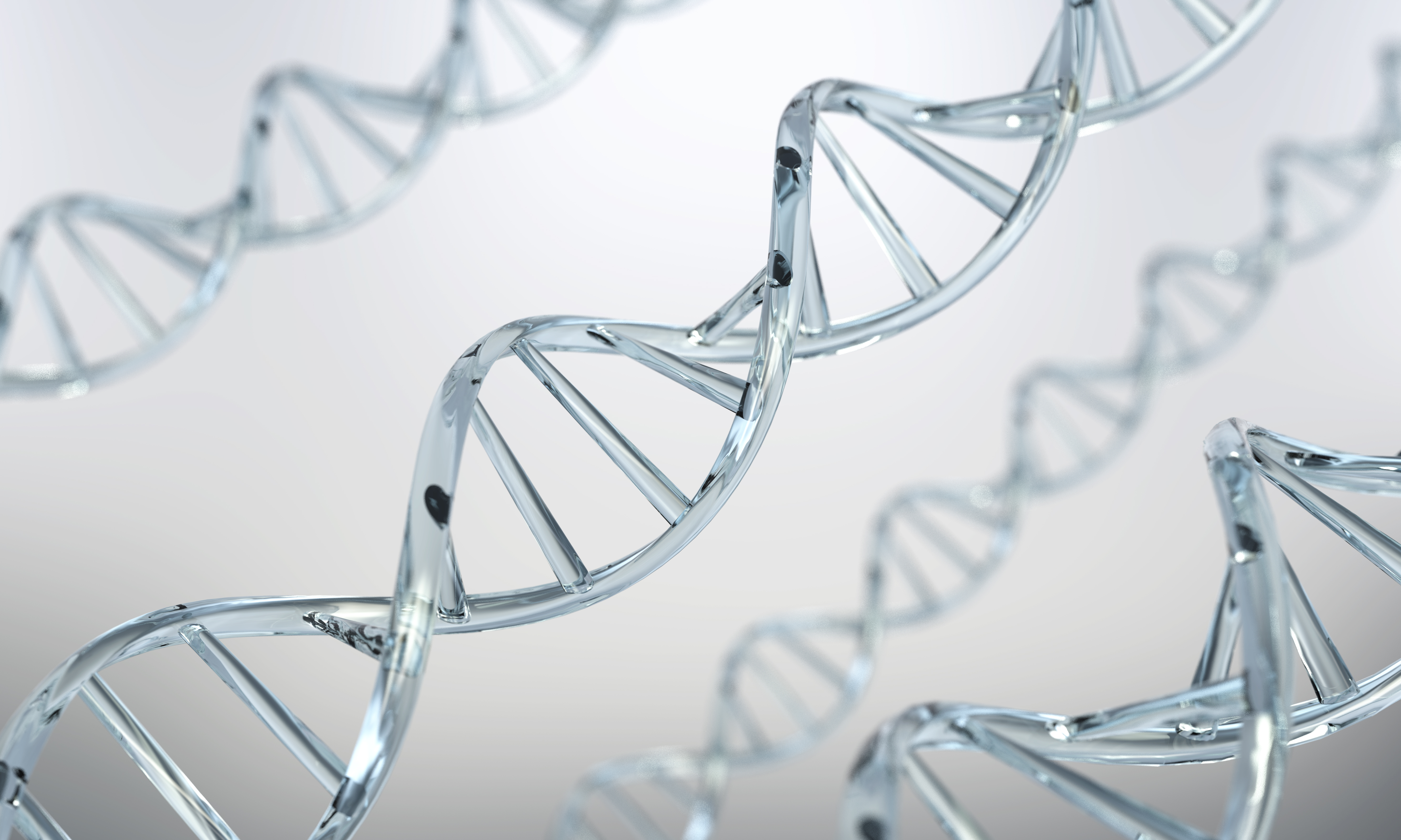 img 1763946453 6923afd5cb577