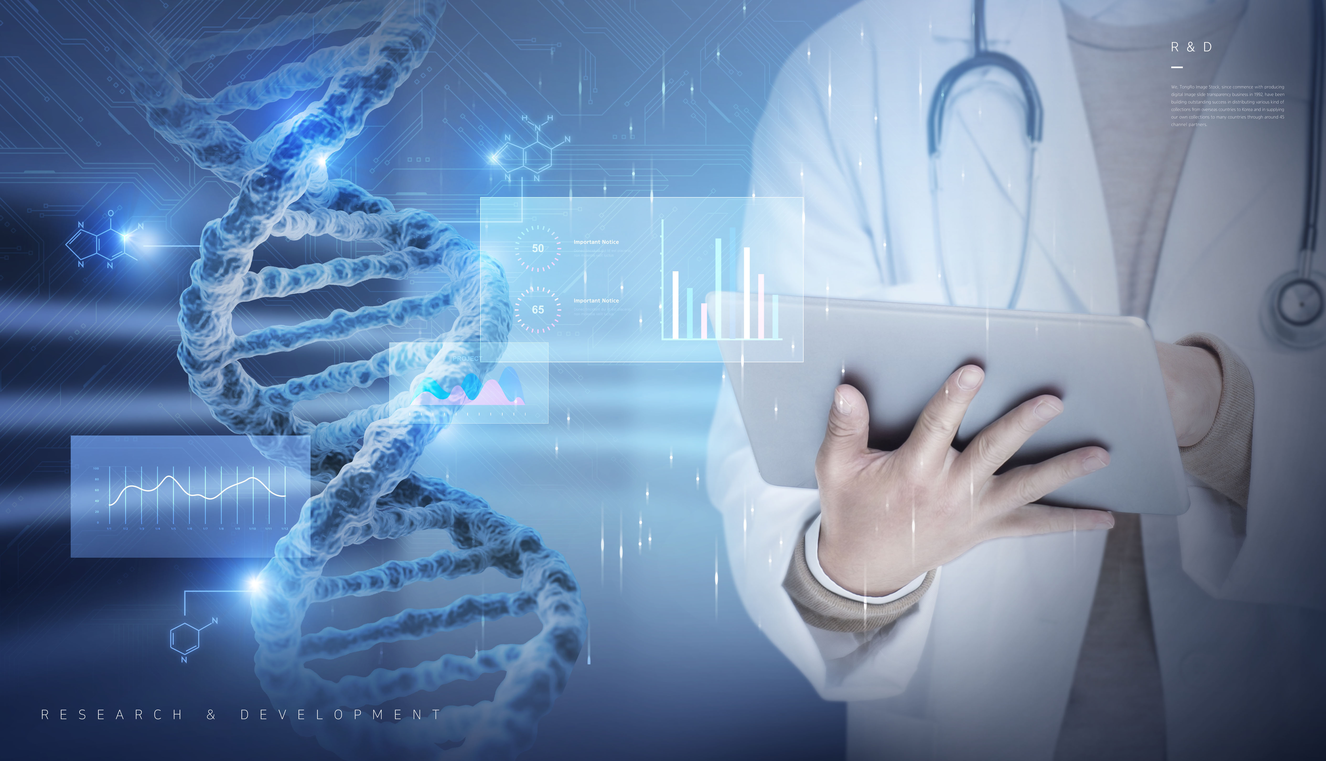 img 1764650676 692e6eb4a697c